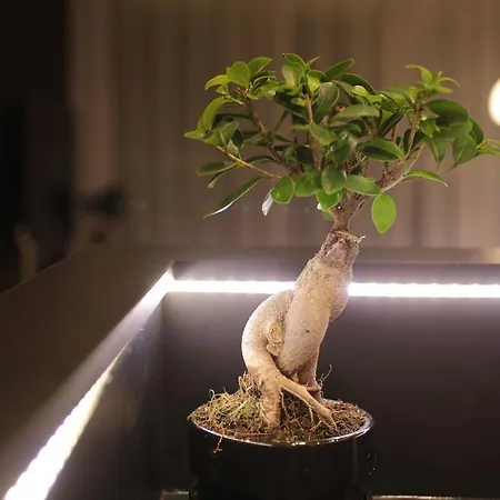 Super-apartamenty Vip דירה פוזנן