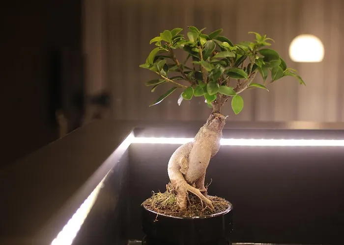 Super-apartamenty Vip דירה פוזנן